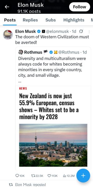 Elon Musk versus the White Minority